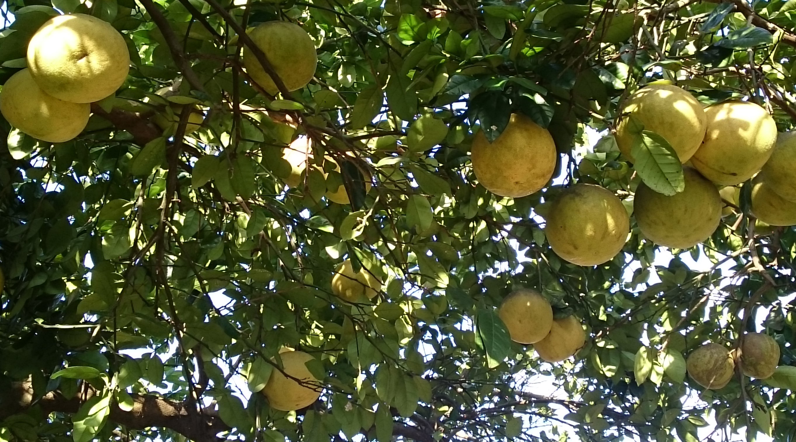 今年最後の教室