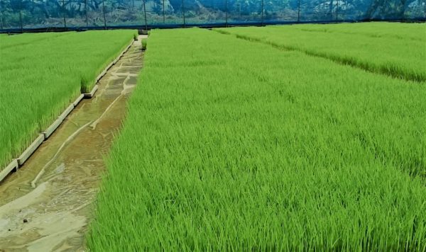 高原選手の日々