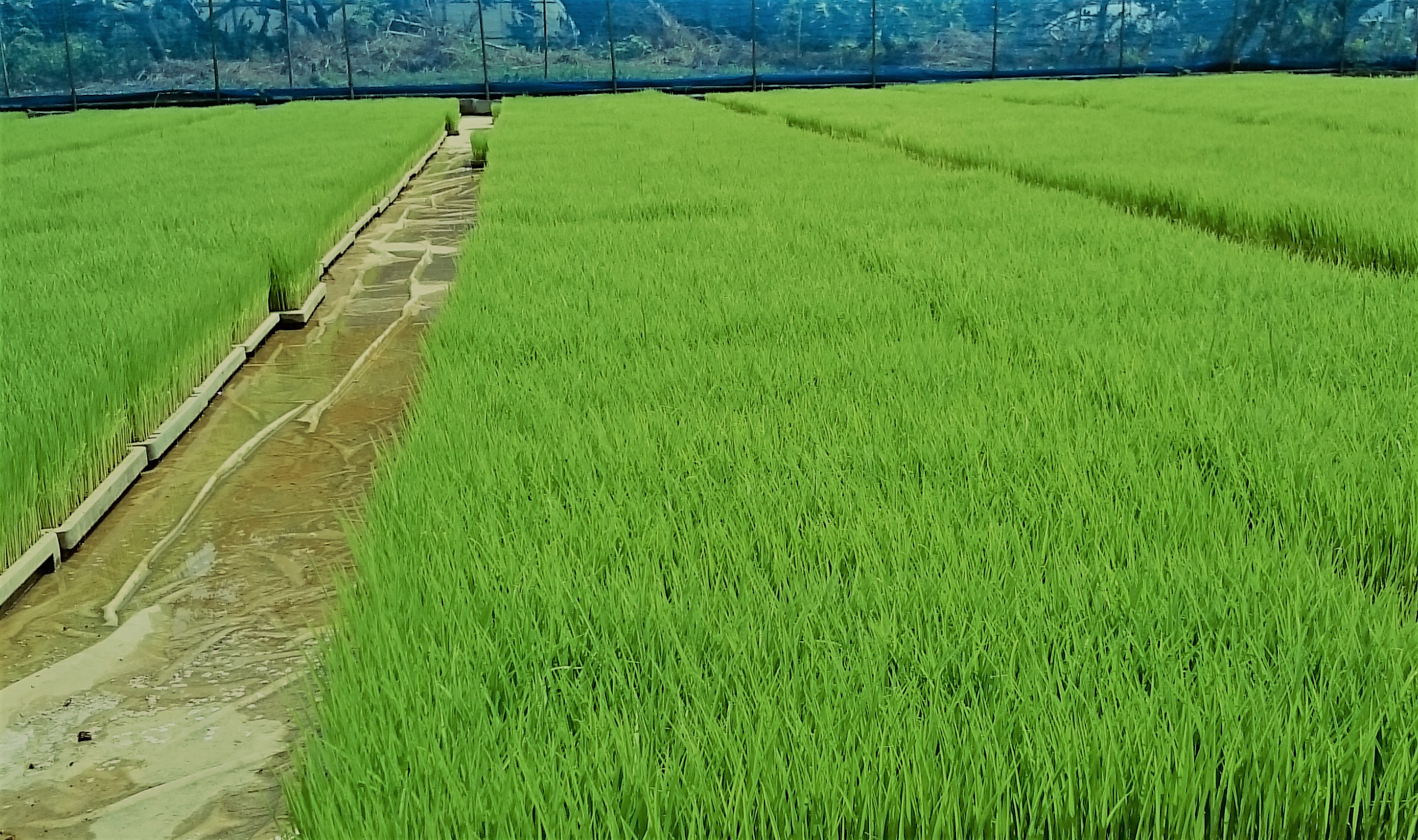 高原選手の日々