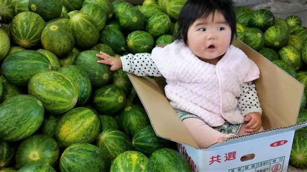 高原選手の日々