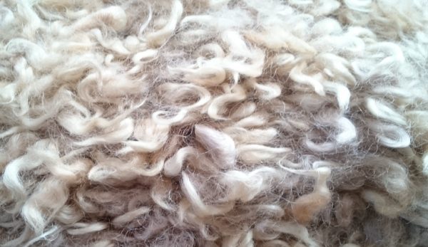 フリ－スマット