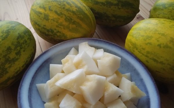 高原選手の日々