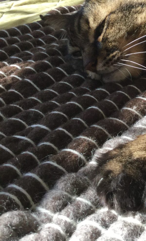 フェルト紐マット