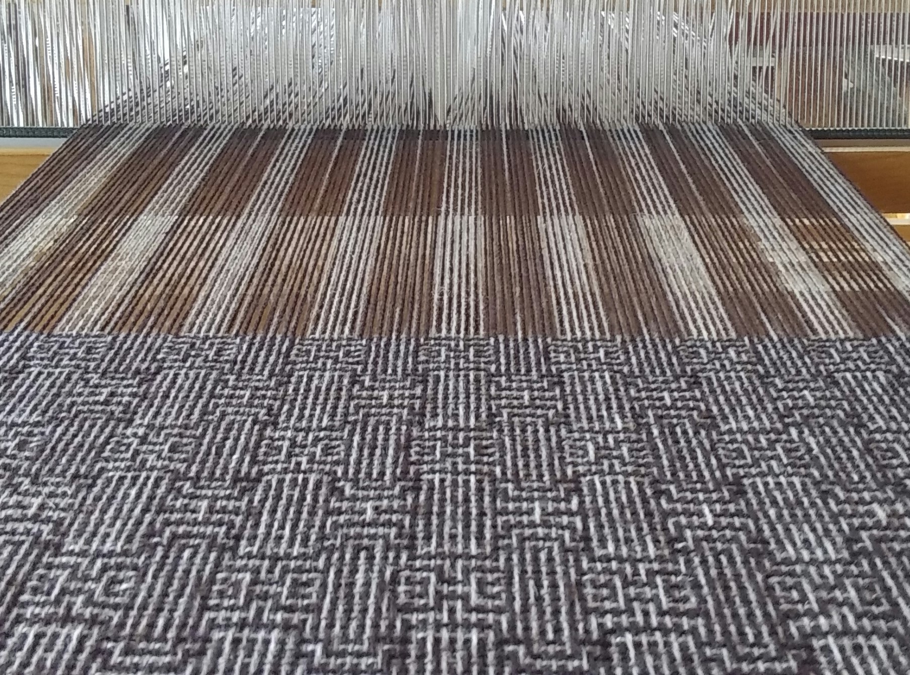 きのねの庭①　「反省」