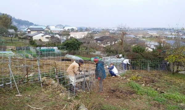 柵作りと植樹の年明け