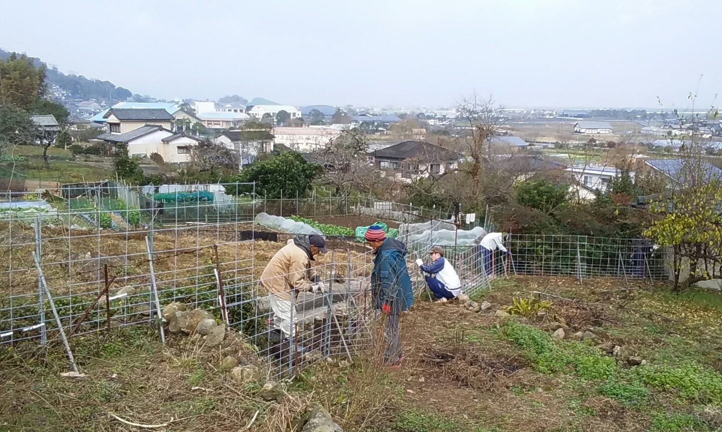 柵作りと植樹の年明け
