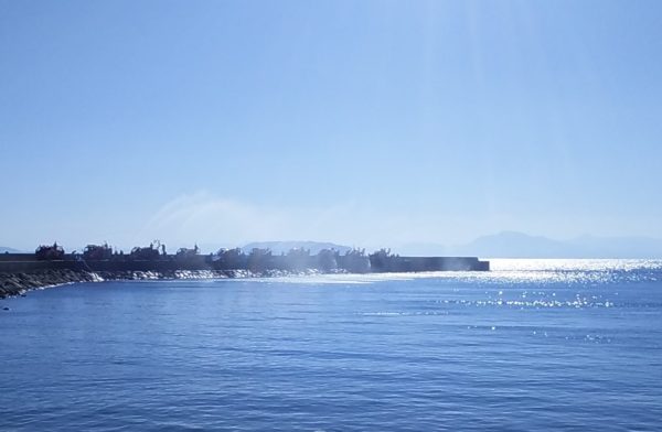 高原選手の日々