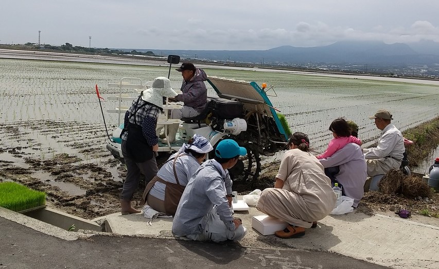 HORIZON_0001_BURST20200620095222359_COVER